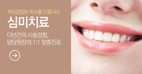 심미치료
